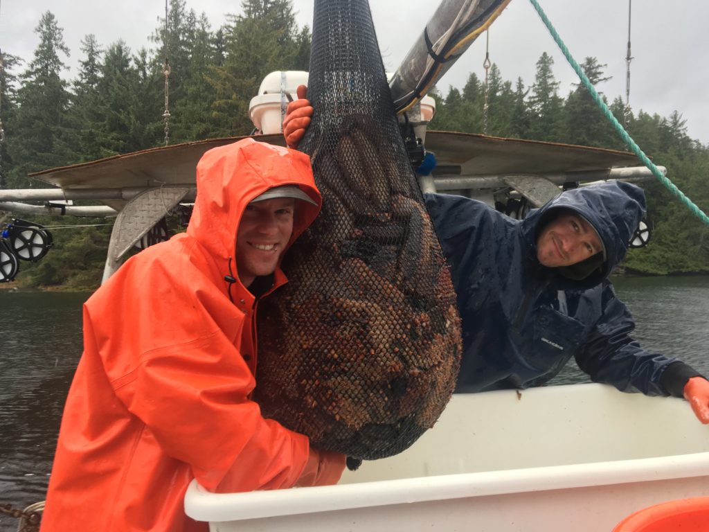 Alaska commercial fishermen sea cumbers