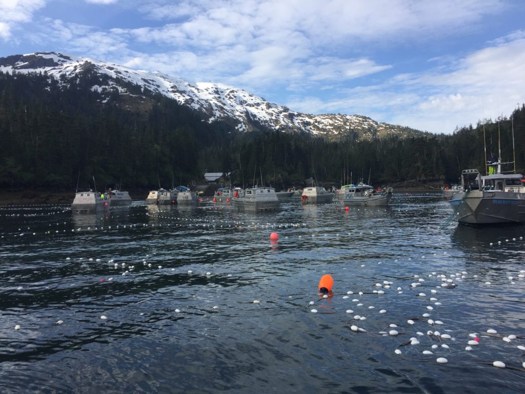 commercial salmon fishing boats Alaska