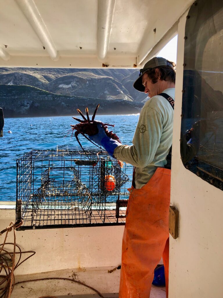 California-lobster-fisherman
