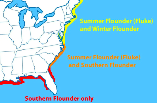 flounder-distribution-map