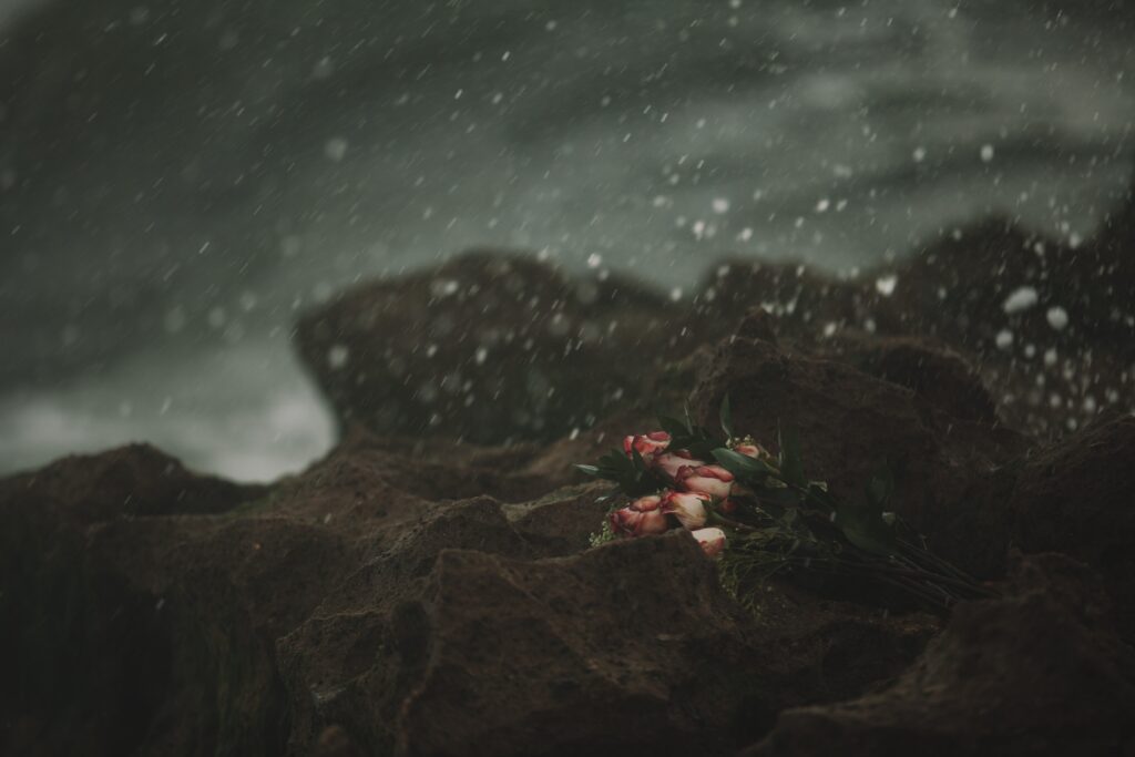 roses-rocks-ocean