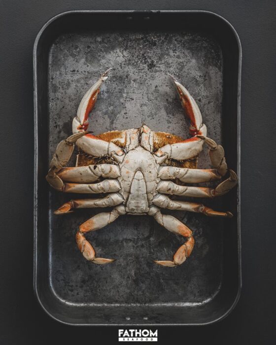 dungeness-crab-fathom-seafood-gordon-Fox