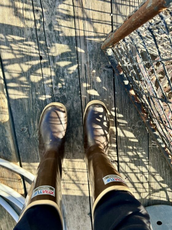 A Cinderella Story for Partners of Commercial Fishermen