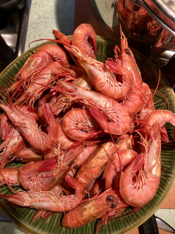 Boiled California spot prawns in a bowl