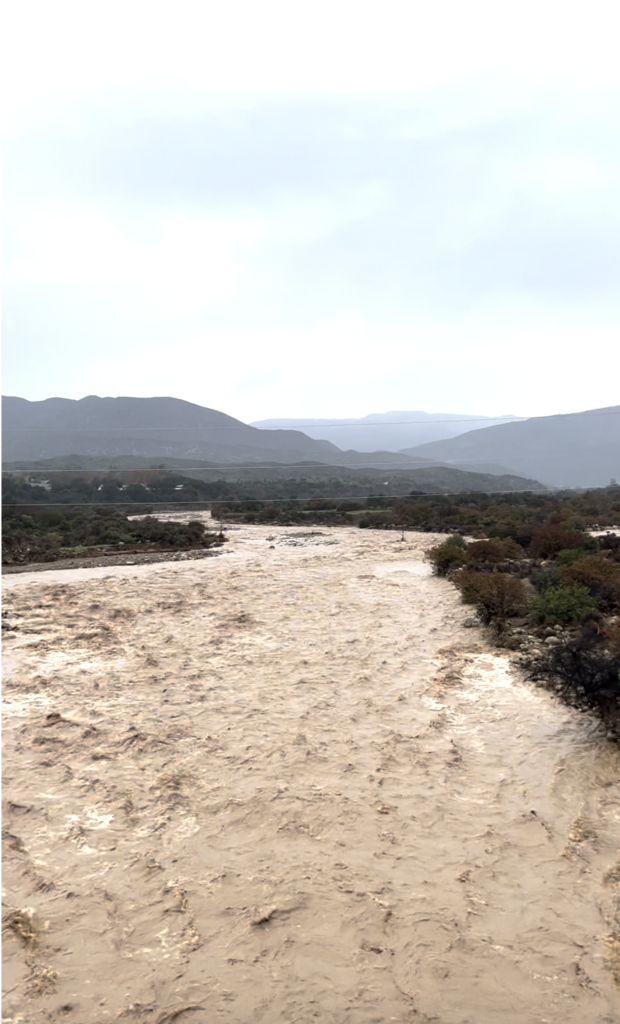 The muddy rushing waters of the Ventura River in Ojai, California 
