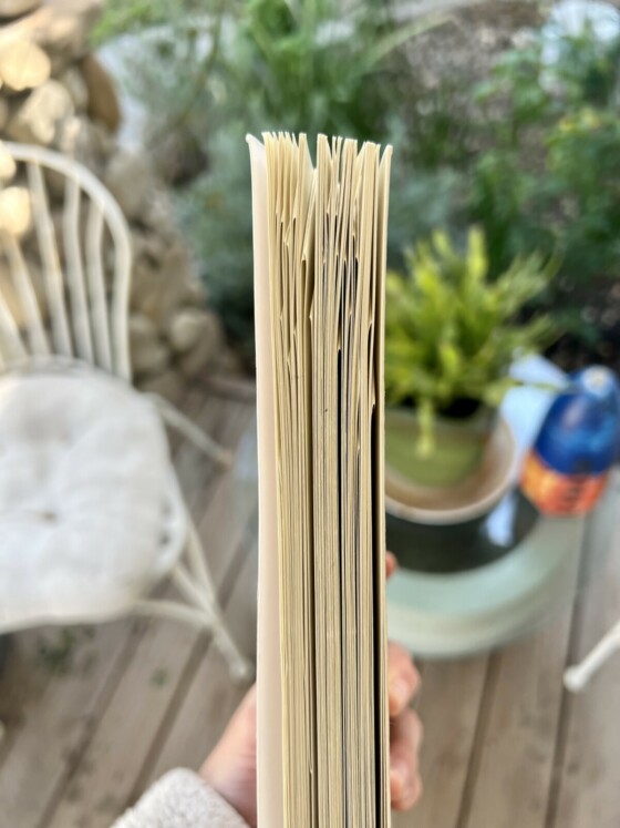 Spirit Things book by Lara Messersmith-Glavin