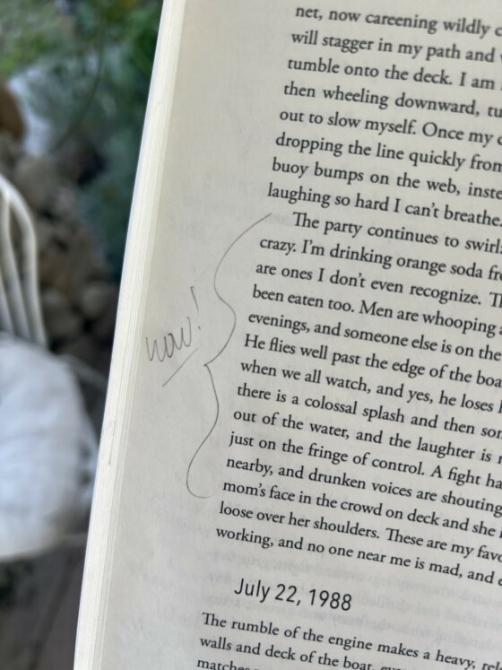 Spirit Things book by Lara Messersmith-Glavin